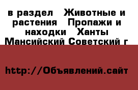  в раздел : Животные и растения » Пропажи и находки . Ханты-Мансийский,Советский г.